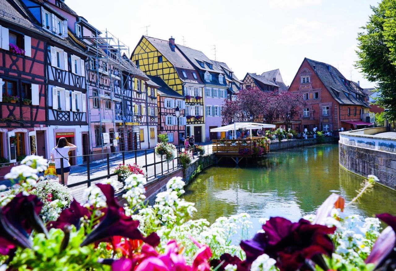 Les Côté Blind Confort Proche Colmar