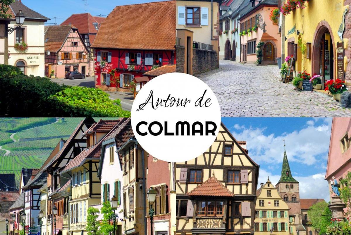 Les Côté Blind Confort Proche Colmar *