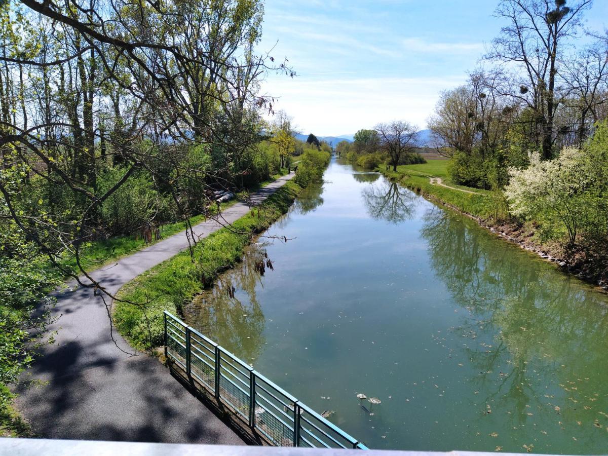 Les Côté Blind Confort Proche Colmar Apartamento *