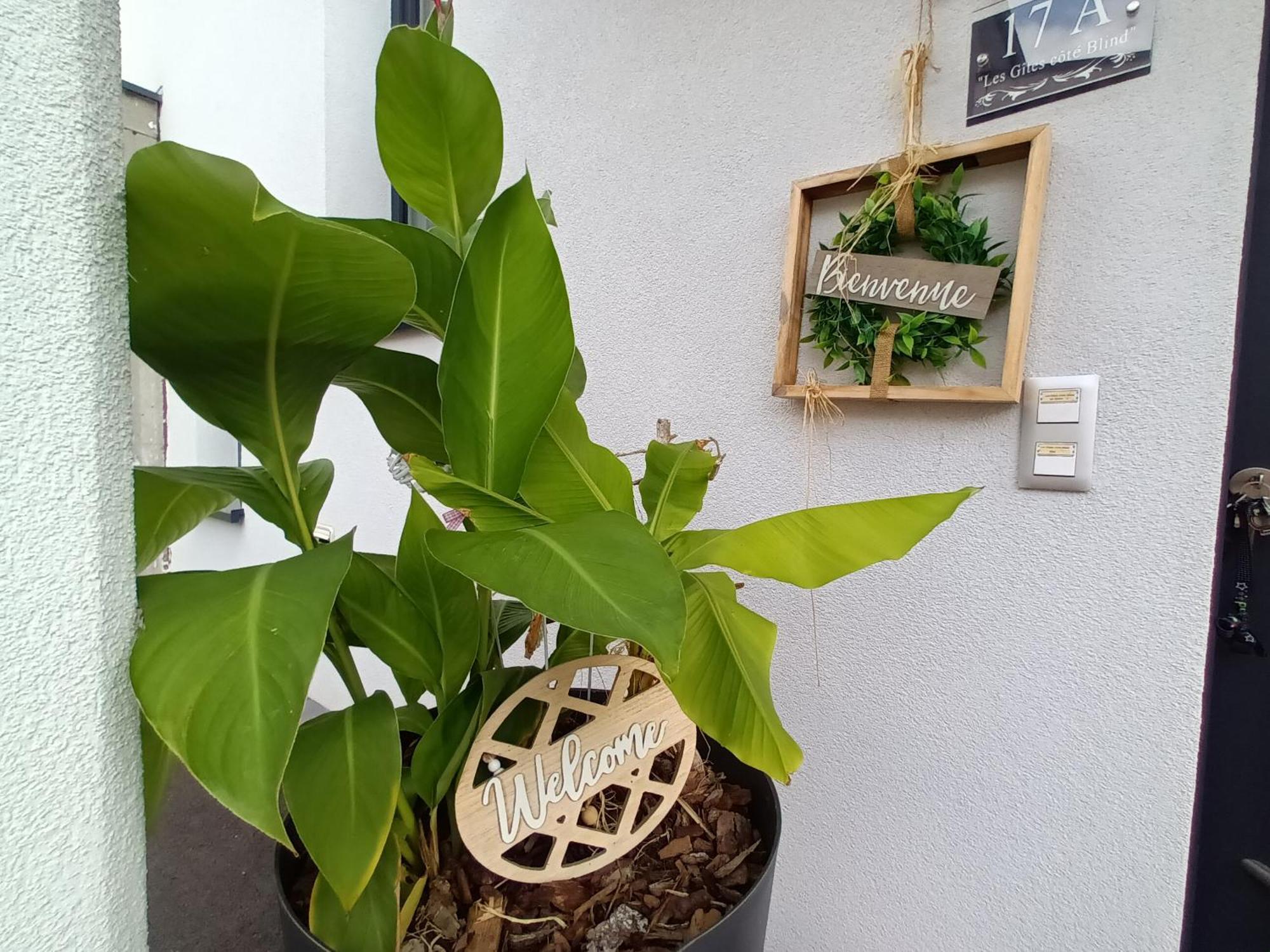 Apartamento Les Côté Blind Confort Proche Colmar Bischwihr